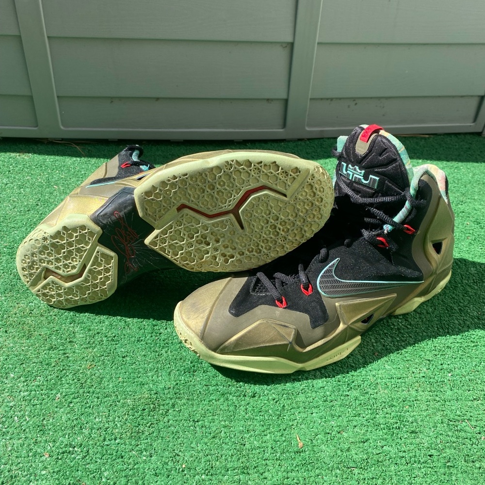 Nike LeBron 11 King's Pride - size 12